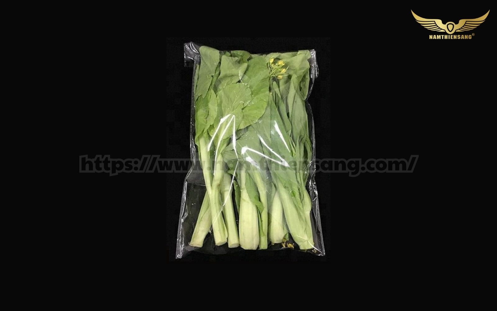 Màng OPP thực phẩm